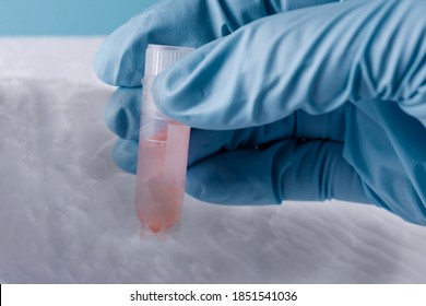 Cryopreservation of sample in laboratory. Scientist hold test tube. A liquid nitrogen bank containing sperm and eggs cryosamples.  Corona virus test in lab. - Powered by Shutterstock