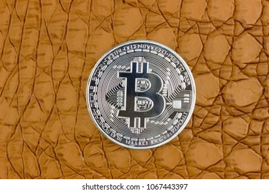 Cryptocurrency Bitcoin. Aligator Skin Texture