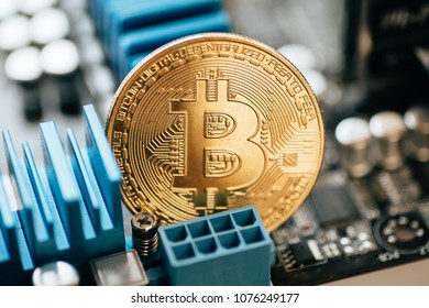 Cryptocurrency golden bitcoin coin in man hand - symbol of crypto currency - electronic virtual money for web banking, selective focus, toned