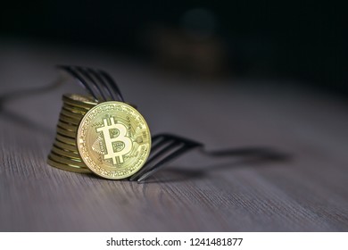 new fork cryptocurrency