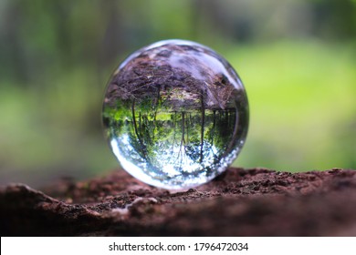 Crystal ball for optical illusion. Nature view through a crystal ball.
