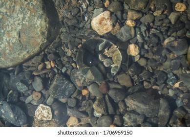 Crystal Ball Underwater On The Stones Of A River Bed