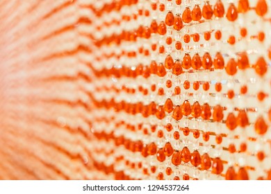 18,466 Crystal curtain Images, Stock Photos & Vectors | Shutterstock