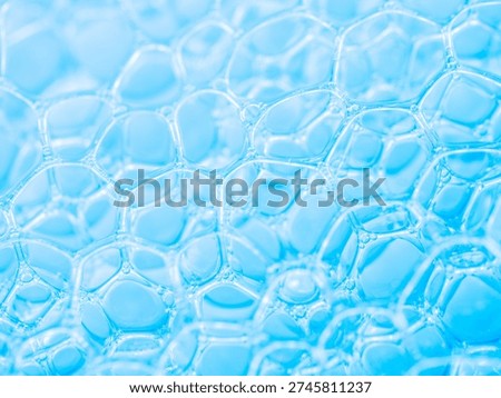 Crystal bubbles form intricate, interconnected patterns
