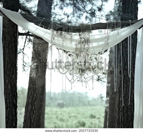 Crystal Chandelier Hanging Trees Draped Sheer Stock Photo 2037725030