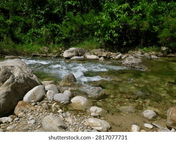 Crystal clear river flows through a tropical rainforest. Sunlight sparkles on emerald water, revealing smooth boulders and a peaceful wilderness surrounded by lush forest.                               