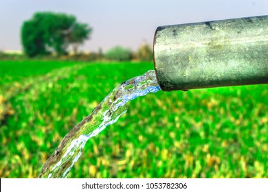 crystal clear sweet and healthy medium flow water by a solar tube well  in the wheat fields where the river water can't reach 
