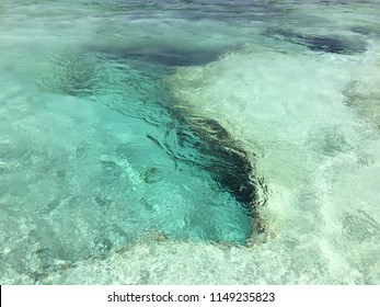 Crystal Clear Water From A Cenote Opening Into The Ocean In Tulum, Mexico