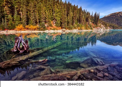 Crystal clear water, logs and boulders at the bottom of the lake, pine trees covering the side of the mountain - Shutterstock ID 384443182