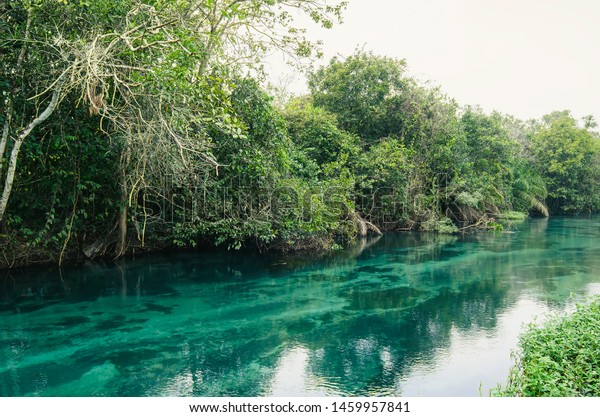 Crystal Clear Water River Streaming Surrounded Stock Photo Edit Now