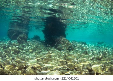 Crystal Clear Water And School Of Small Fish In Adriatic Sea.