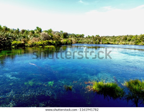 Crystal Clear Waters New Zealand Royalty Free Stock Image