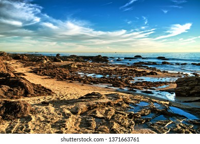 Crystal Cove Rock Shore