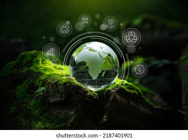 Crystal Globe Putting On Moss, ESG Icon For Environment Social And Governance, World Sustainable Environment Concept.