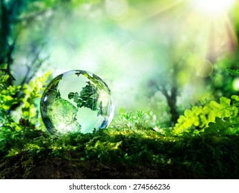 crystal globe resting on moss in a forest - environment concept
