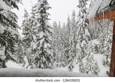 Crystal Mountain Ski Resort, Near Mt. Rainier, Washington State, USA