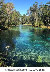 Crystal River -FL Three Sisters Springs