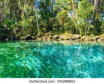 Crystal River Landscape Photo Of Bright Blue Water Ripples Artsy Nature Photo.