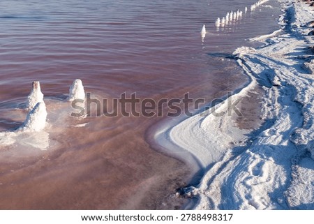 Crystallized salt formations line the shore of a pink-hued saline lake, with salt-encrusted wooden stumps emerging from the water and smooth mineral textures creating surreal natural patterns.