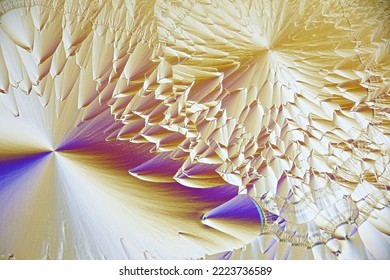 Crystals of ascorbic acid, commonly known as Vitamin 
C, photographed with microscope