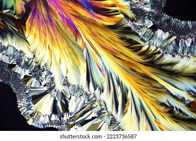 Crystals Of Citric Acid, A  Common Food Preservative, 
Photographed With Microscope