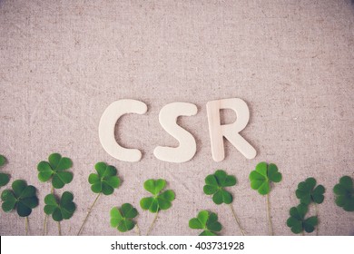 CSR (Corporate social responsibility) with green leaf, copy space background,toning