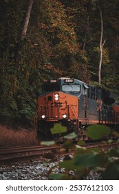 A CSX freight train moves through a forest with vibrant autumn colors. The locomotive’s tones blend with the foliage, creating a scenic shot ideal for travel and transportation themes