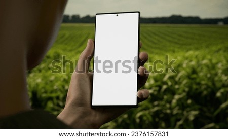 CU Male farmer checking his phone near corn field, blank screen phone mockup
