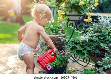 Cuate Adorable Caucasian Blond Little Toddler Boy In White Diaper Watering Flower Pot With Red Plastic Can Outdoors. Fun Baby Boy Gardening Plant At Backyard Countryside Cottage On Bright Summer Day