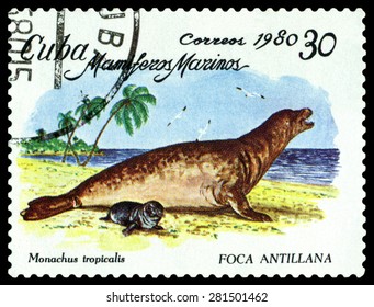 CUBA - CIRCA 1980: A Stamp Printed By Cuba Shows Caribbean Monk Seal   ,  Marine  Mammals,  Circa 1980