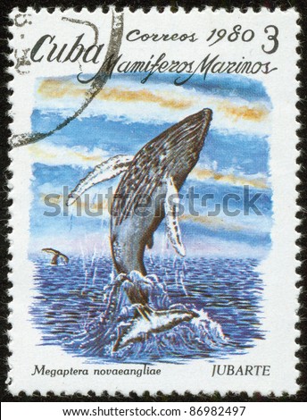 CUBA - CIRCA 1980: A stamp printed by Cuban Post is from the series Sea Mammals. It shows the humpback whale (Megaptera Novaeangliae), circa 1980