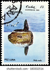 CUBA - CIRCA 1981: A stamp printed by CUBA shows Ocean Sunfish or Common Mola (Mola mola), circa 1981