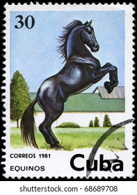 CUBA - CIRCA 1981: A Stamp printed in CUBA shows the image of the Horse, value 30c, series, circa 1981