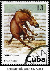 CUBA - CIRCA 1981: A Stamp printed in CUBA shows the image of the Horse, value 13c, series, circa 1981