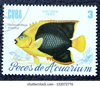 CUBA - CIRCA 1985: A stamp printed in the Cuba, shows exotic fish, circa 1985