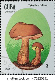 CUBA - CIRCA 1988: A stamp printed in Cuba showing mushroom, circa 1988