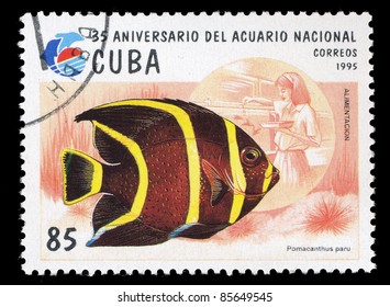 CUBA - CIRCA 1995: A Stamp printed in CUBA shows Pomacanthus paru, circa 1995