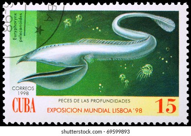 CUBA - CIRCA 1998: A Stamp Printed In Cuba Showing Pelican Eel, Circa 1998