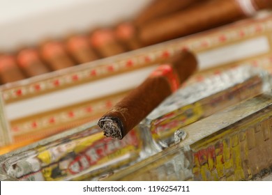 Cuban Cigar Box And Person Smoking Cigar. Habano Cigar Wrapper Is A Leaf Grown From A Cuban Seed, Hence The Word 