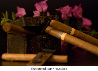 cuban cigars