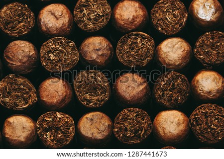 Cuban Cigars, Close up.