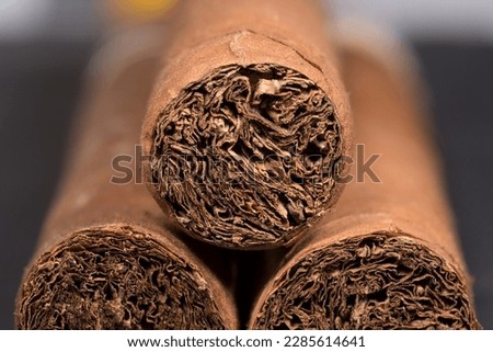 cuban cigars close-up, cigars tobacco macro
