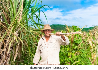  Cuban Field Farmer On The Sugarcane Field During The Harvest In Santa Clara Cuba - Serie Cuba Reportage