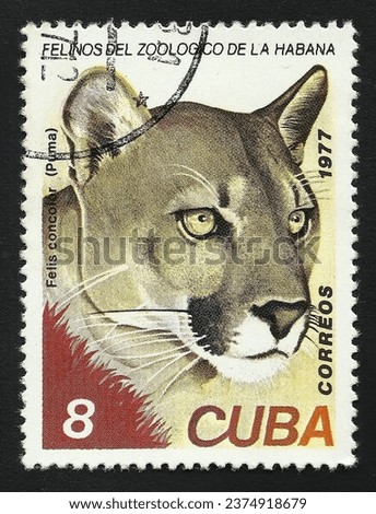 Cuban postage stamp of 1977: Puma Felis concolor. Text in Spanish 