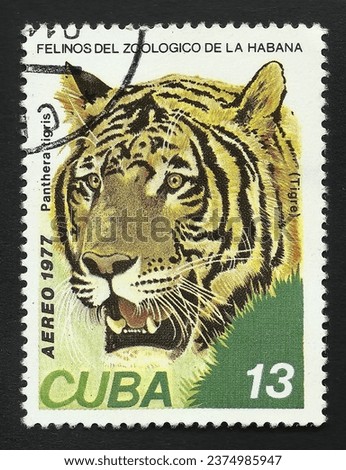 Cuban postage stamp of 1977: Tiger Panthera tigris. Text in Spanish 