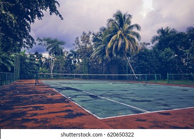 Cuban Tennis Court Jungle Stock Photo 620650322 | Shutterstock