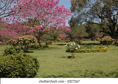 Cubbon Park, Bangalore