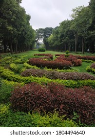 Cubbon Park Garden City Bangalore