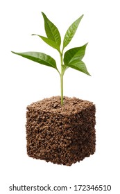 Cube Shape Soil With Plant Isolated On White