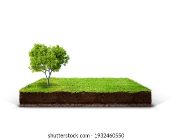 Cubical Cross Section With Underground Earth Soil And Green Grass On Top, Cutaway Terrain Surface With Mud And Field Isolated